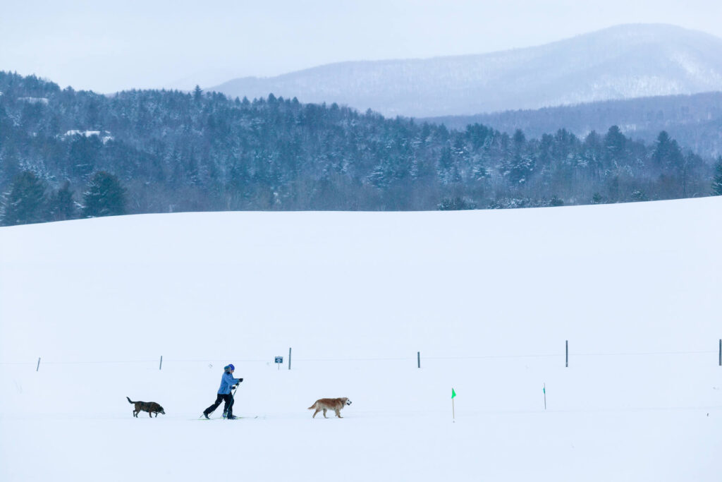 Two people cross-country skiing in Vermont